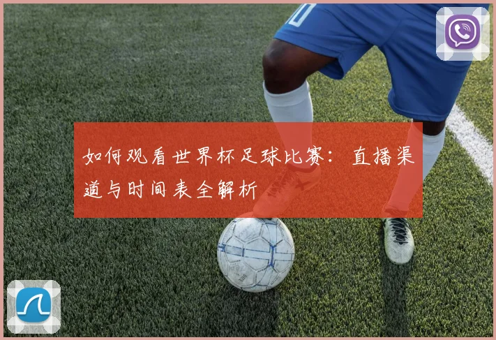 如何观看世界杯足球比赛:直播渠道与时间表全解析