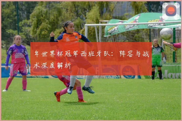 年世界杯冠军西班牙队:阵容与战术深度解析