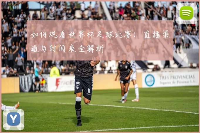 如何观看世界杯足球比赛:直播渠道与时间表全解析