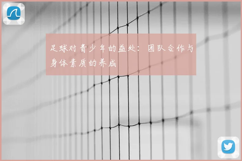 足球对青少年的益处:团队合作与身体素质的养成